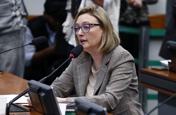 Relatora do projeto de lei, deputada Maria do Rosário