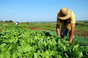 O recurso extraordinário foi interposto pela Confederação Nacional da Agricultura e Pecuária do Brasil (CNA) (Foto: Reprodução)