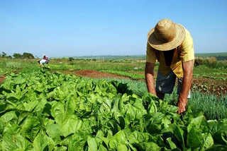 O recurso extraordinário foi interposto pela Confederação Nacional da Agricultura e Pecuária do Brasil (CNA)