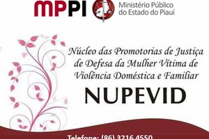 NUPEVID/MPPI lança o projeto “Lei Maria da Penha na Mídia” (Foto: reprodução)