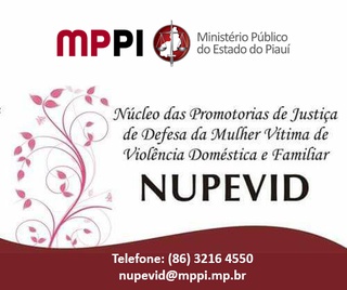 NUPEVID/MPPI lança o projeto “Lei Maria da Penha na Mídia”