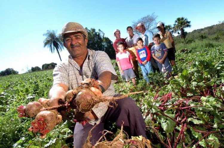 Trabalhadores rurais na mira da extinção