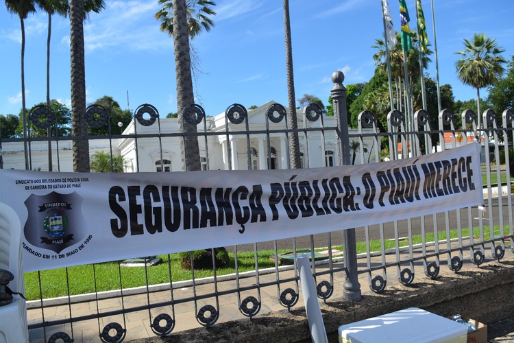 No encontro de gestores, fora elaborada a Carta de Teresina, com propostas a serem implementadas na segurança pública de forma integrada em todo o Nordeste.