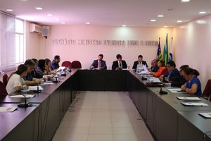 Representantes de Conselhos Federais reunidos na OAB/PI (Foto: Divulgação)