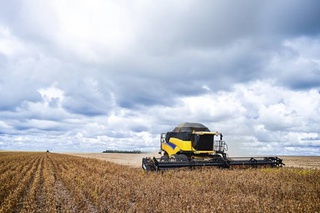 TRF1 derrubou liminar que havia suspendido o uso de produtos à base de glifosato e de outros agroquímicos