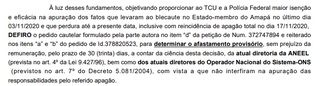 Diretor da ANEEL André Pepitone da Nóbrega