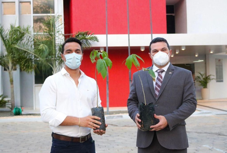 Presidente da OAB/PI, Advogado Celso Barros Coelho Neto.