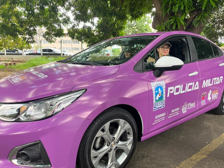 No aplicativo Gov.Pi Cidão denuncie os covardes que batem em mulher