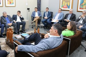 Presidente do TCE-PI em reunião com secretários e gestores do Executivo estadual (Foto: Divulgação)