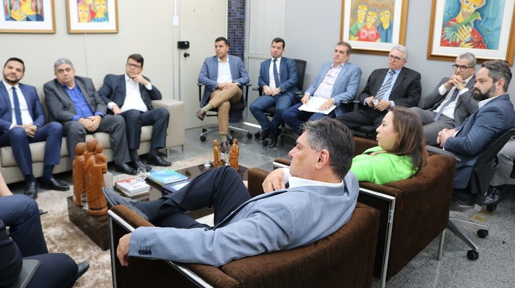 Presidente do TCE-PI em reunião com secretários e gestores do Executivo estadual