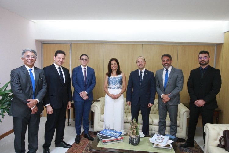 Procuradores do Piauí participam de reuniões sobre atuação da advocacia pública no país