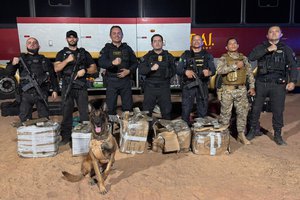 SSP-PI apreende 250 quilos de drogas e prende dois suspeitos em operação em Bom Jesus (Foto: Divulgação) SSP-PI apreende 250 quilos de drogas e prende dois suspeitos em operação em Bom Jesus (Foto: Divulgação)