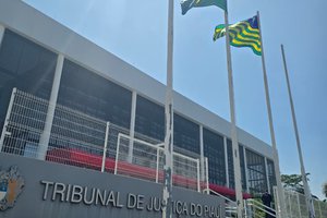 Quinto do TJPI: 1º lugar será escolhido por unanimidade, diz bloguista (Foto: TELSIRIO ALENCAR/PAUTA JUDICIAL)