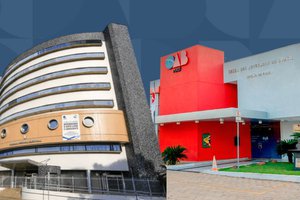 OAB-PI defende presença majoritária de mulheres nas listas para o TRE-PI (Foto: Divulgação)