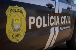 Civil cumpre 11 mandados e desarticula célula criminosa em Bertolínia (Foto: Divulgação)