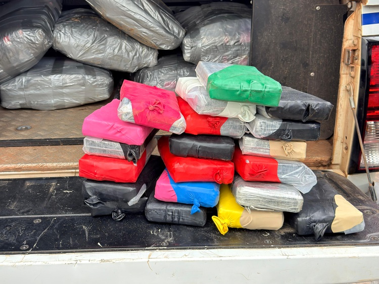 SSP-PI participa de apreensão de meia tonelada de entorpecentes, em Caxias, com apoio de cães farejadores